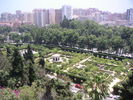 torre_PICT7067.JPG