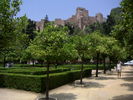 torre_PICT7070.JPG