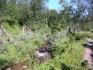 PICT0074.JPG