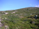 PICT0075.JPG