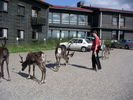 PICT0097.JPG