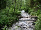 PICT0101.JPG