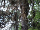 PICT0102.JPG