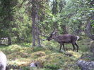 PICT0104.JPG
