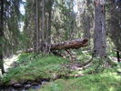 PICT0106.JPG