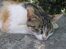 Montserrat_200506_243.jpg