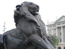 Rambla_020.jpg