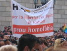 Seta_es_289.jpg