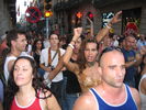 Seta_es_308.jpg