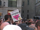 Seta_es_311.jpg