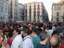 Seta_es_317.jpg
