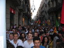 Seta_es_321.jpg