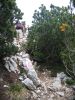 Monte_Baldo_200607_5124.jpg