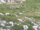 Monte_Baldo_200607_5145.jpg