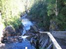 200607_autti_108.jpg