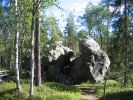 200607_autti_120.jpg