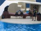 200704_Tenerife_Loro_Parque_026.jpg
