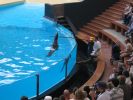 200704_Tenerife_Loro_Parque_032.jpg