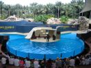 200704_Tenerife_Loro_Parque_033.jpg