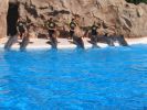 200704_Tenerife_Loro_Parque_037.jpg