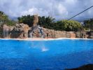 200704_Tenerife_Loro_Parque_046.jpg
