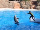 200704_Tenerife_Loro_Parque_051.jpg