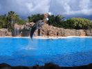 200704_Tenerife_Loro_Parque_052.jpg