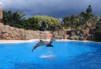 200704_Tenerife_Loro_Parque_054b.jpg