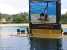 200704_Tenerife_Loro_Parque_070.jpg