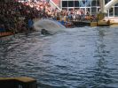 200704_Tenerife_Loro_Parque_072.jpg