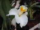 200704_Tenerife_Loro_Parque_093.jpg