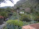 200704_Tenerife_Masca_008.jpg
