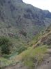 200704_Tenerife_Masca_010.jpg