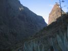 200704_Tenerife_Masca_010A.jpg