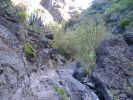 200704_Tenerife_Masca_020.jpg