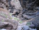 200704_Tenerife_Masca_037.jpg