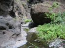 200704_Tenerife_Masca_048.jpg