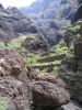 200704_Tenerife_Masca_058.jpg