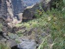 200704_Tenerife_Masca_060.jpg