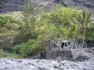 200704_Tenerife_Masca_068.jpg