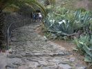 200704_Tenerife_Masca_105.jpg