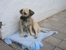 200704_Tenerife_Masca_110.jpg