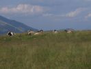 200707_Garda_Monte_Baldo_0068.jpg