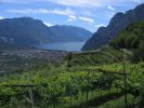 200707_Garda_Riva-Torbole-Arco-Tenno_5074.jpg