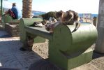 GranCanaria_200710_-_01.jpg