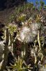 GranCanaria_200710_-_20.jpg