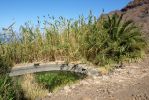 GranCanaria_200710_-_22.jpg