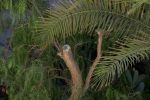 GranCanaria_200710_-_30.jpg