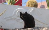 GranCanaria_200710_-_33.jpg