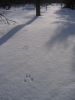 Kuusamo_200803_09.jpg